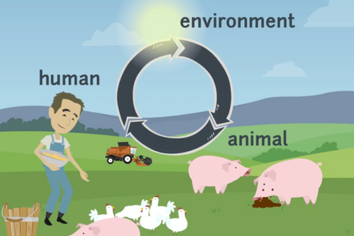 One Health Core Competencies