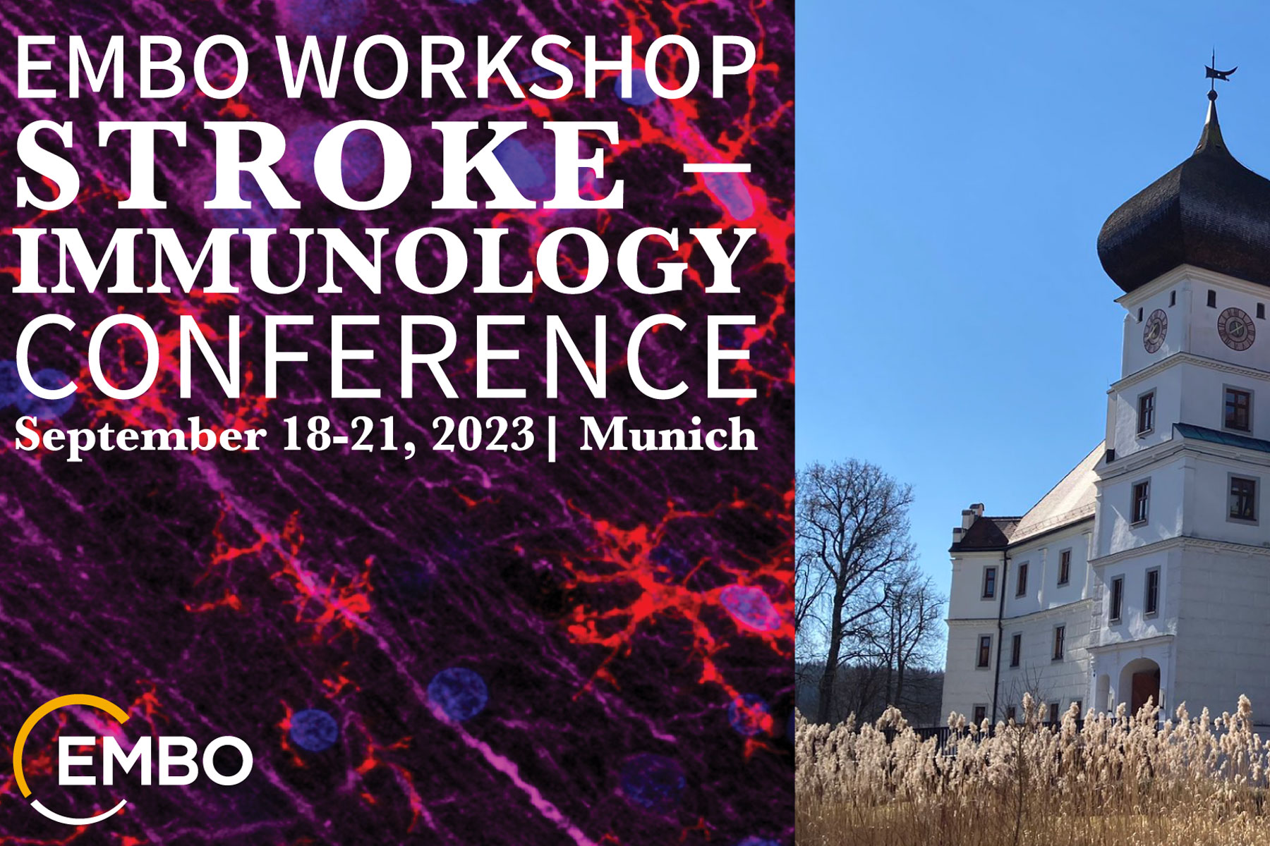 EMBO Workshop