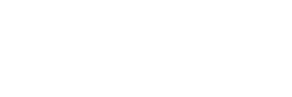  LMU logo in white