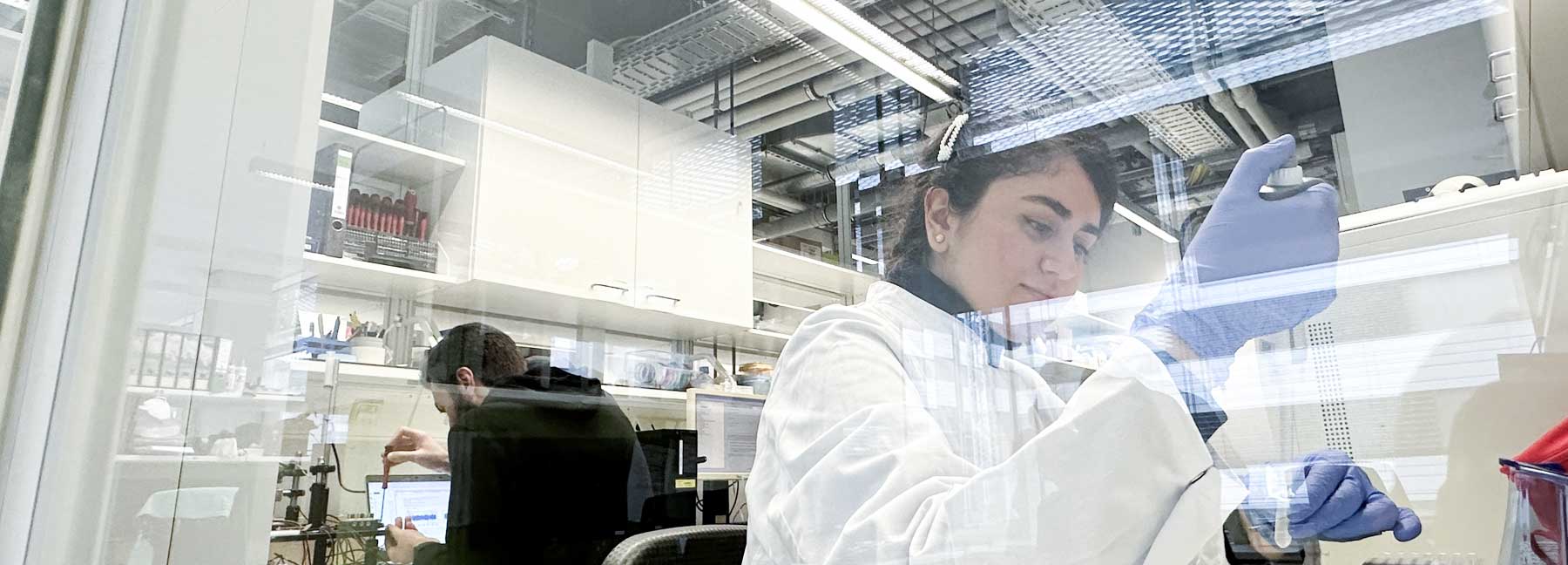 Lab