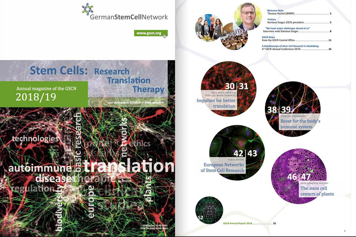 German Stem Cell Network