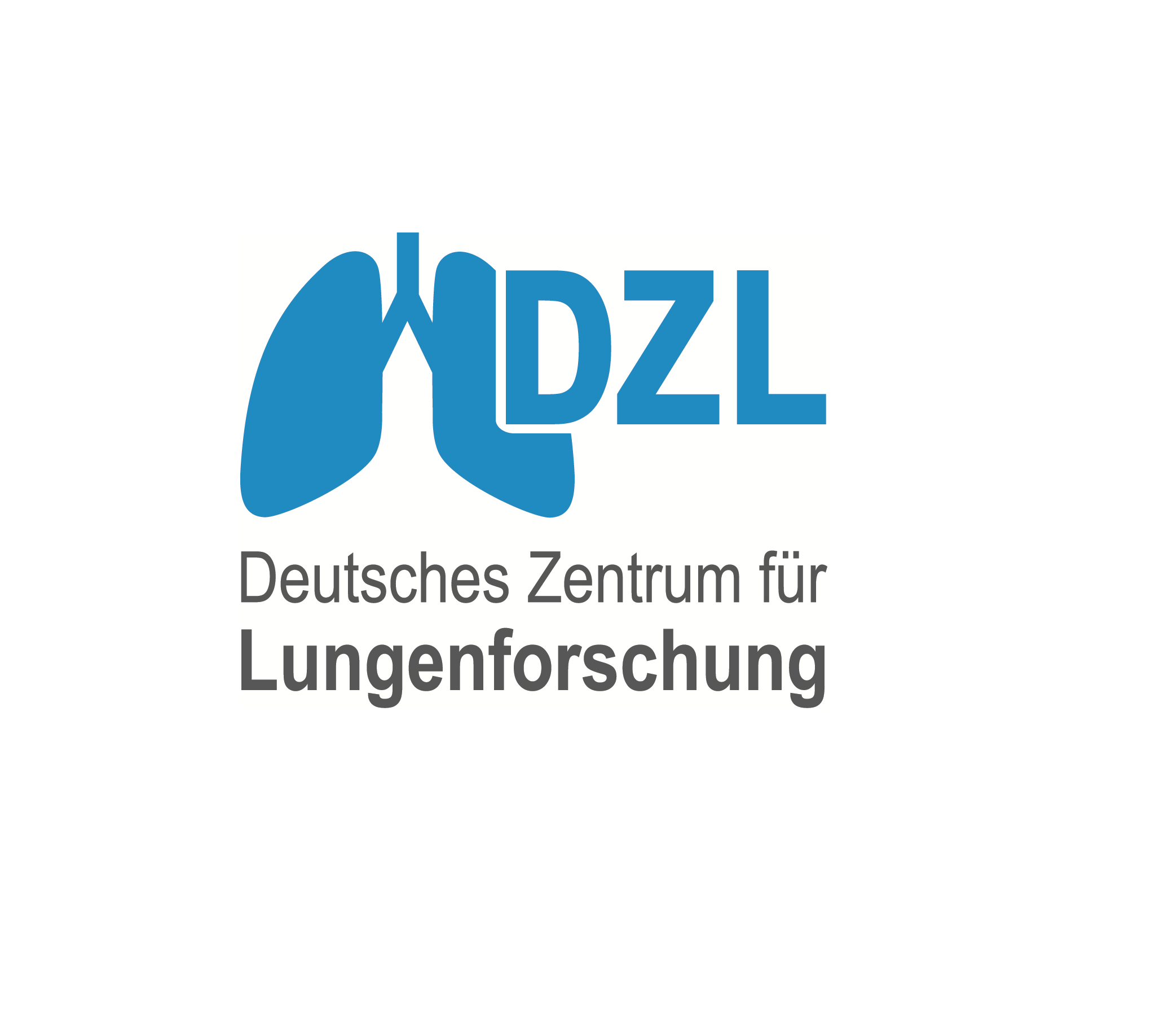 DZL Logo