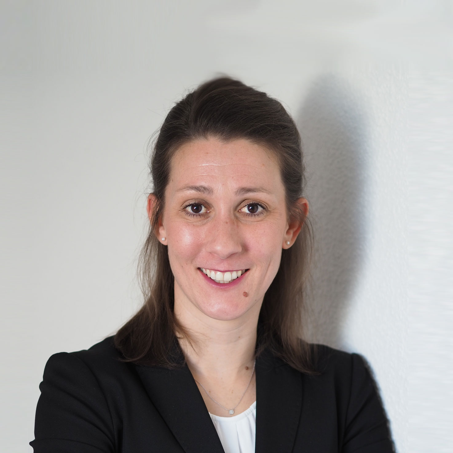 IRTG-BrainVasc Management