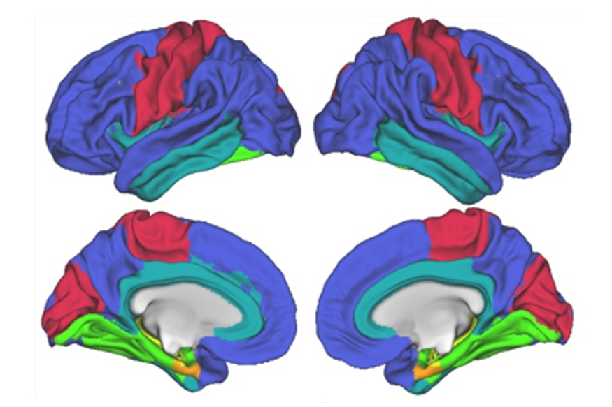 Brain Imaging Nature Article