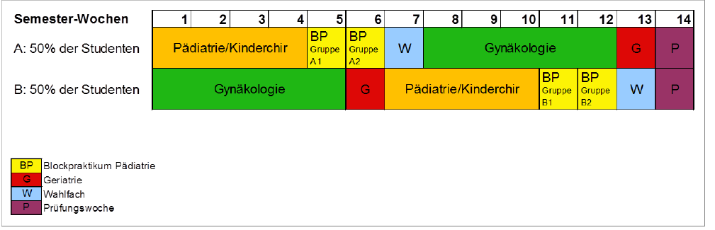 Zeitliche Einteilung des Modul 5