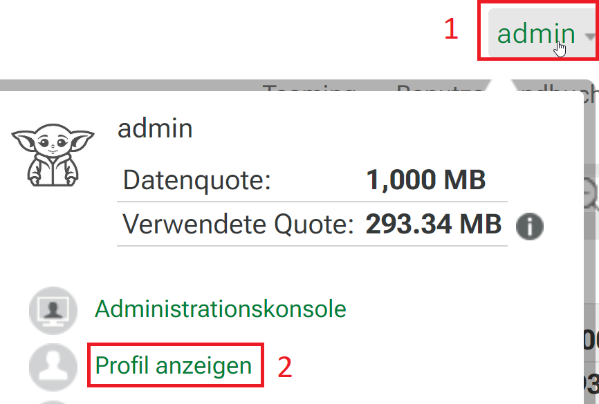 Wählen Sie rechts oben Ihren Namen an und gehen dann auf Profil anzeigen