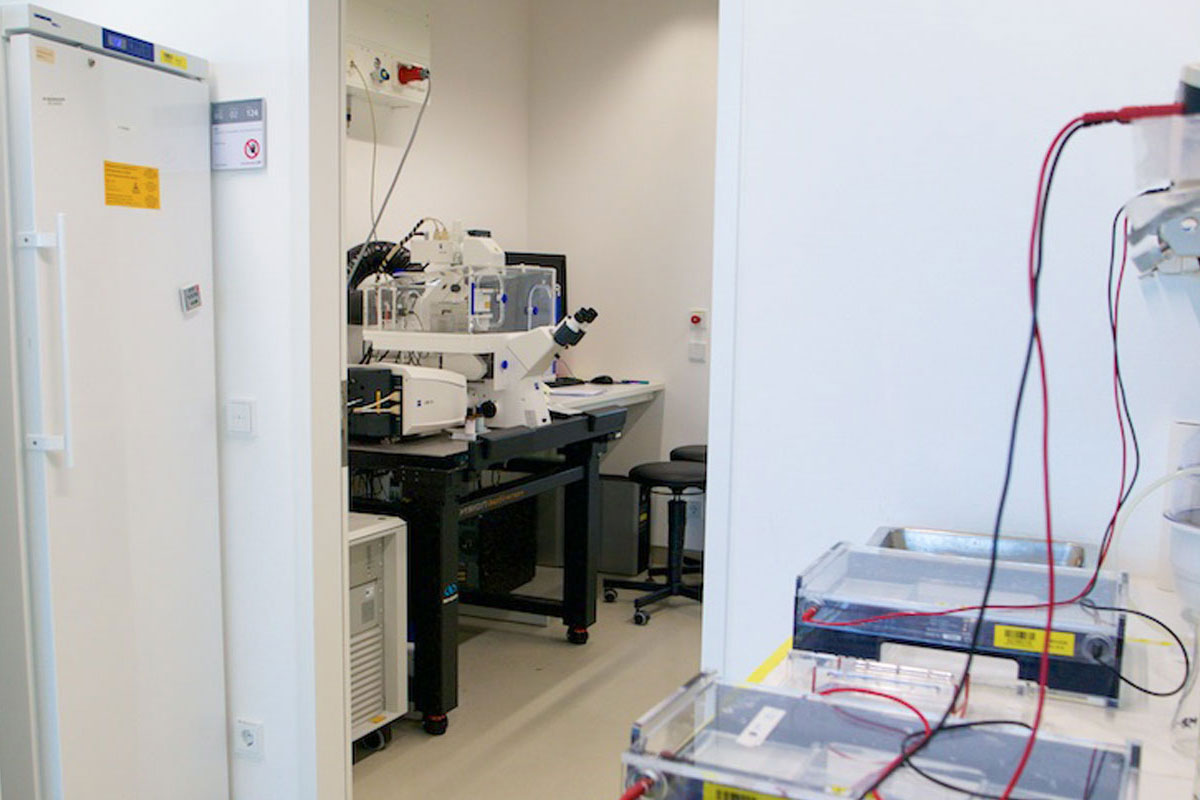 Paquet Lab