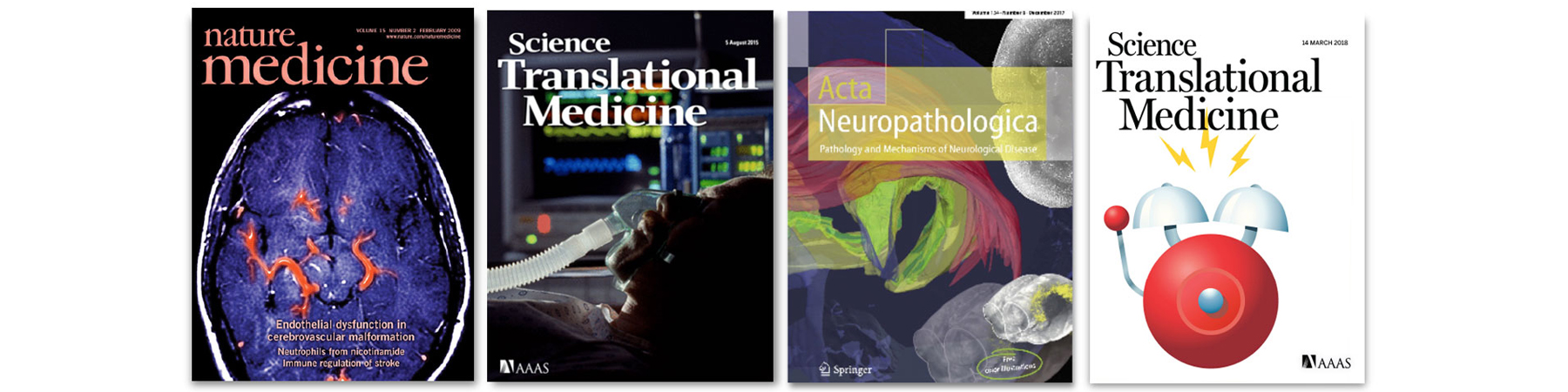 Liesz Publications