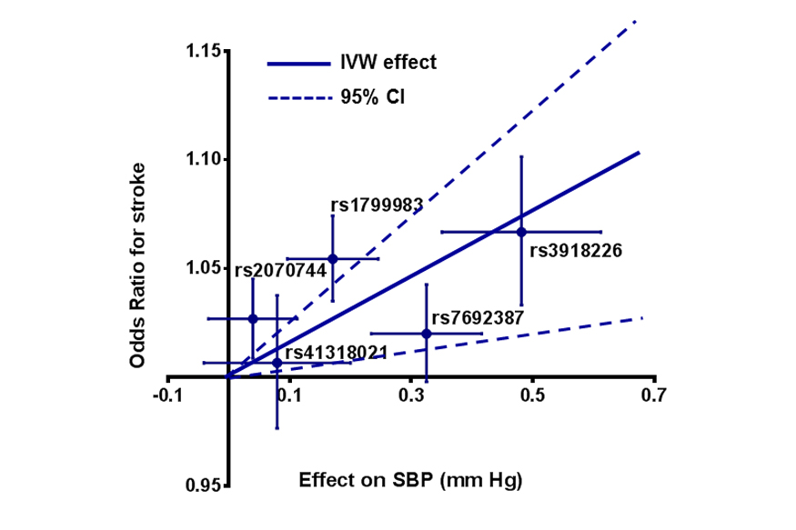 Novel risk loci for stroke
