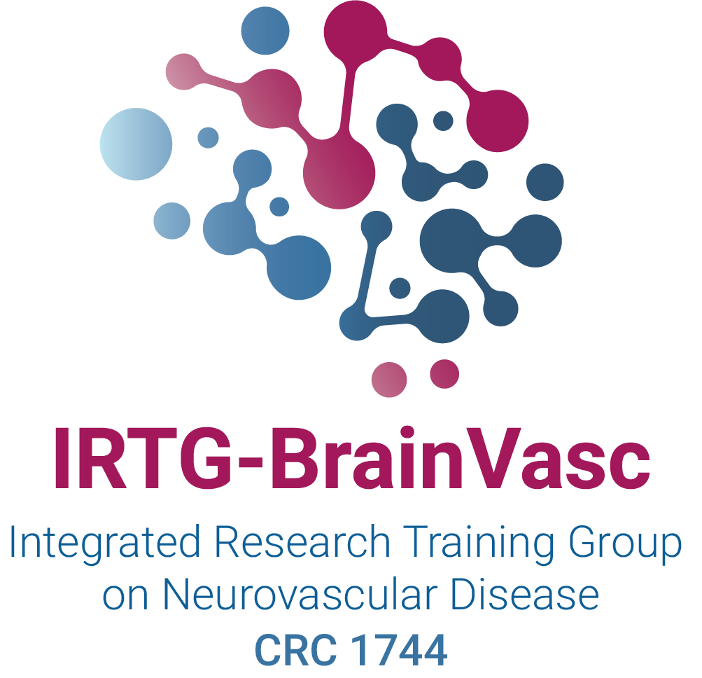 Logo IRTG-BrainVasc, Integrated Research Training Group on Neurovascular Disease