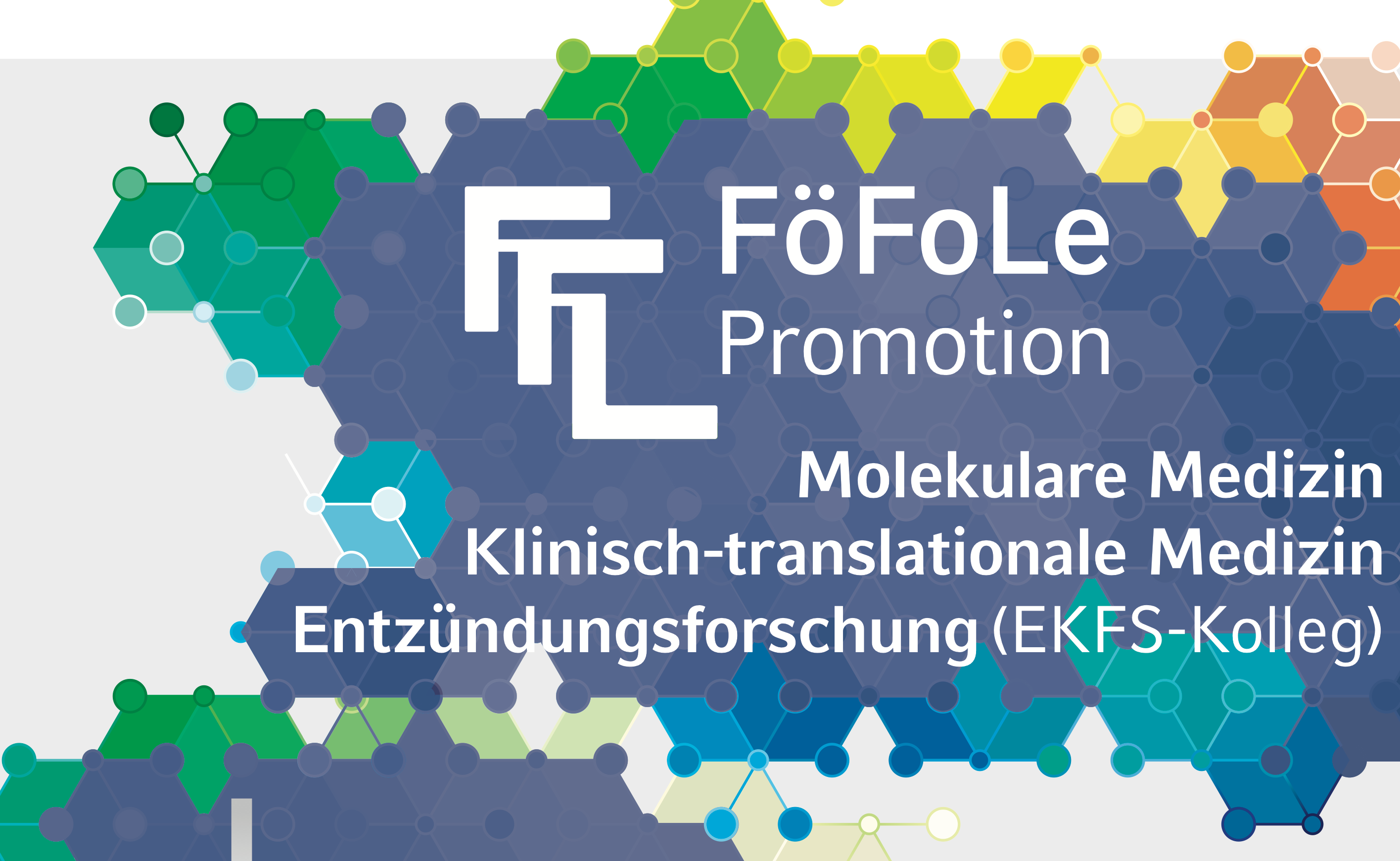 FöFoLe Promotionsposter
