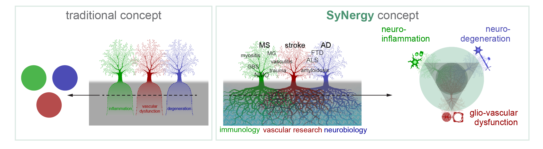  Visual of the traditional concept versus SyNergy's concept