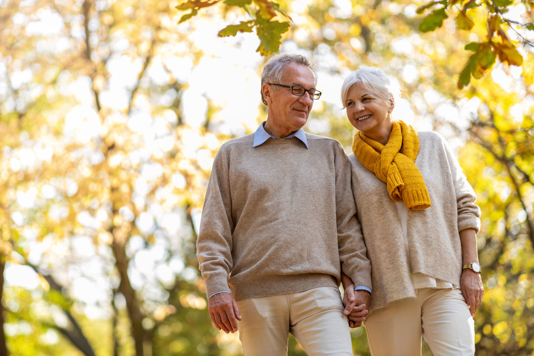 senior couple in autumn park