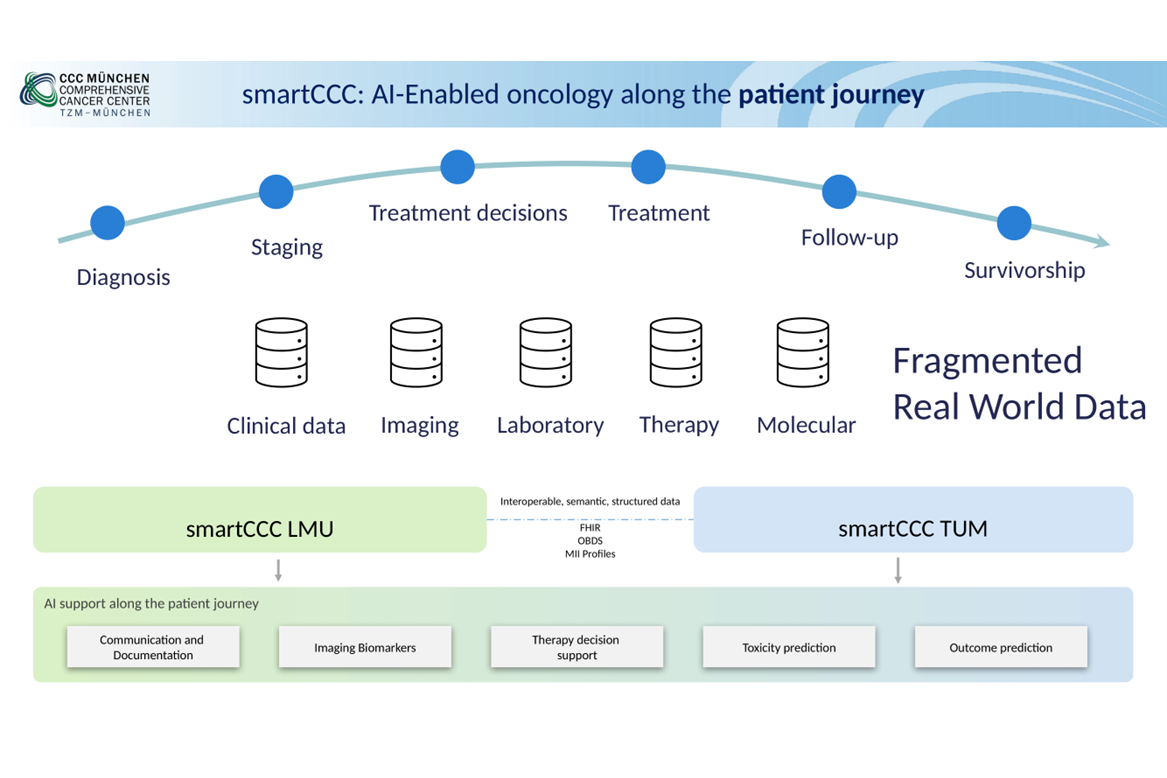 smartCCC verbindet die heute fragmentierten Versorgungsdaten der Krebsmedizin zu einer gemeinsamen, standardisierten Datenebene zwischen LMU und TUM. Auf dieser Grundlage werden KI-Anwendungen entlang der gesamten Patientenreise möglich.