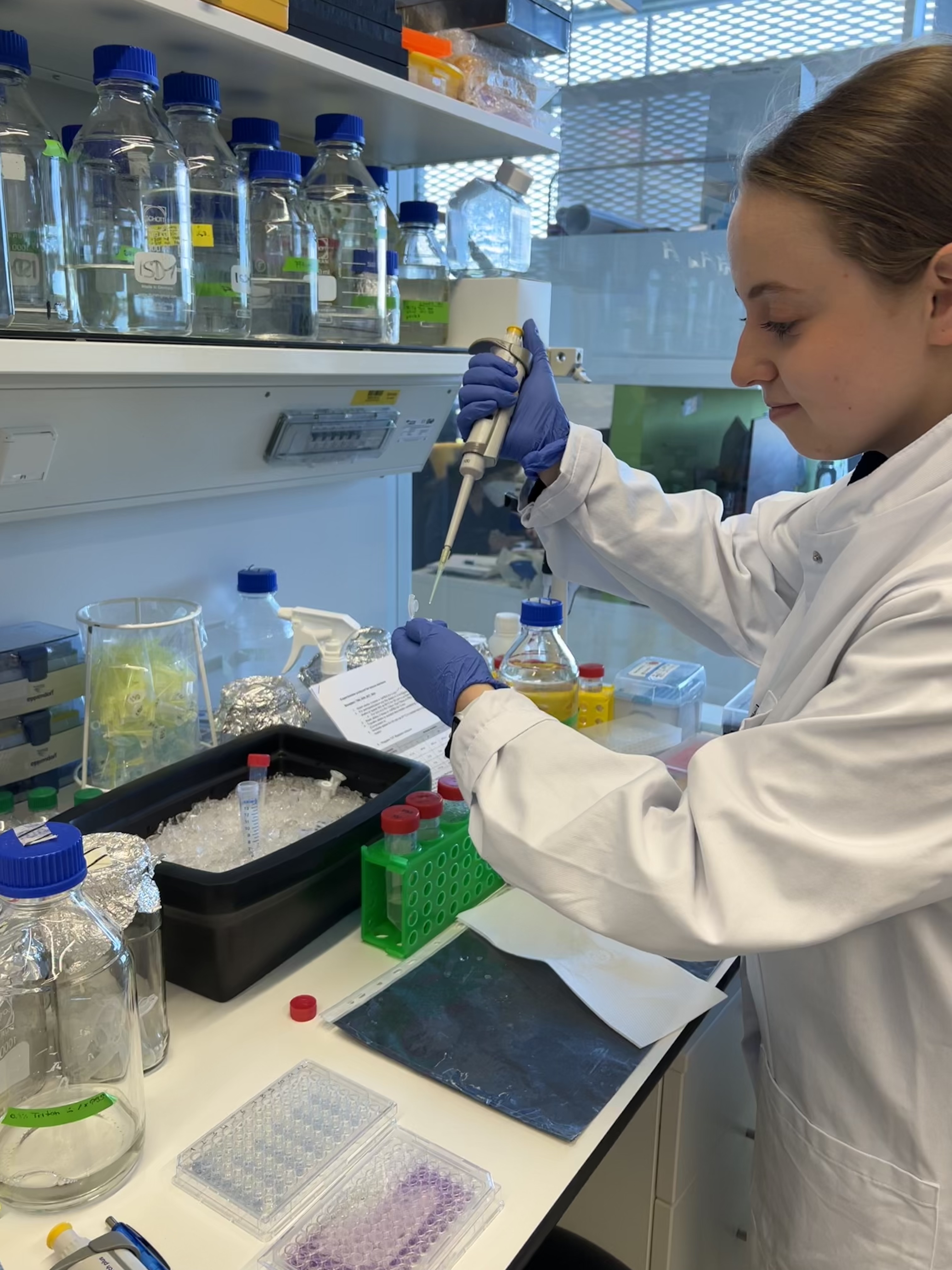  Jugend forscht intern in the lab pipetting