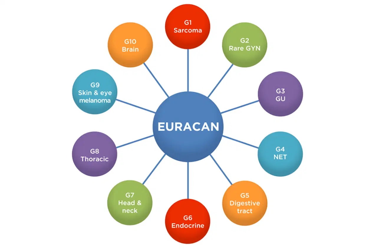 Grafik: Die zehn Domänen des EURACAN Netzwerks