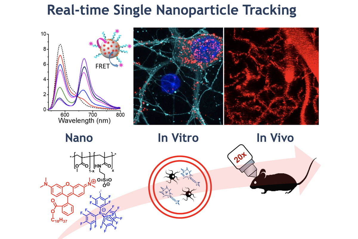 Real-time Single Nanoparticle Tracking