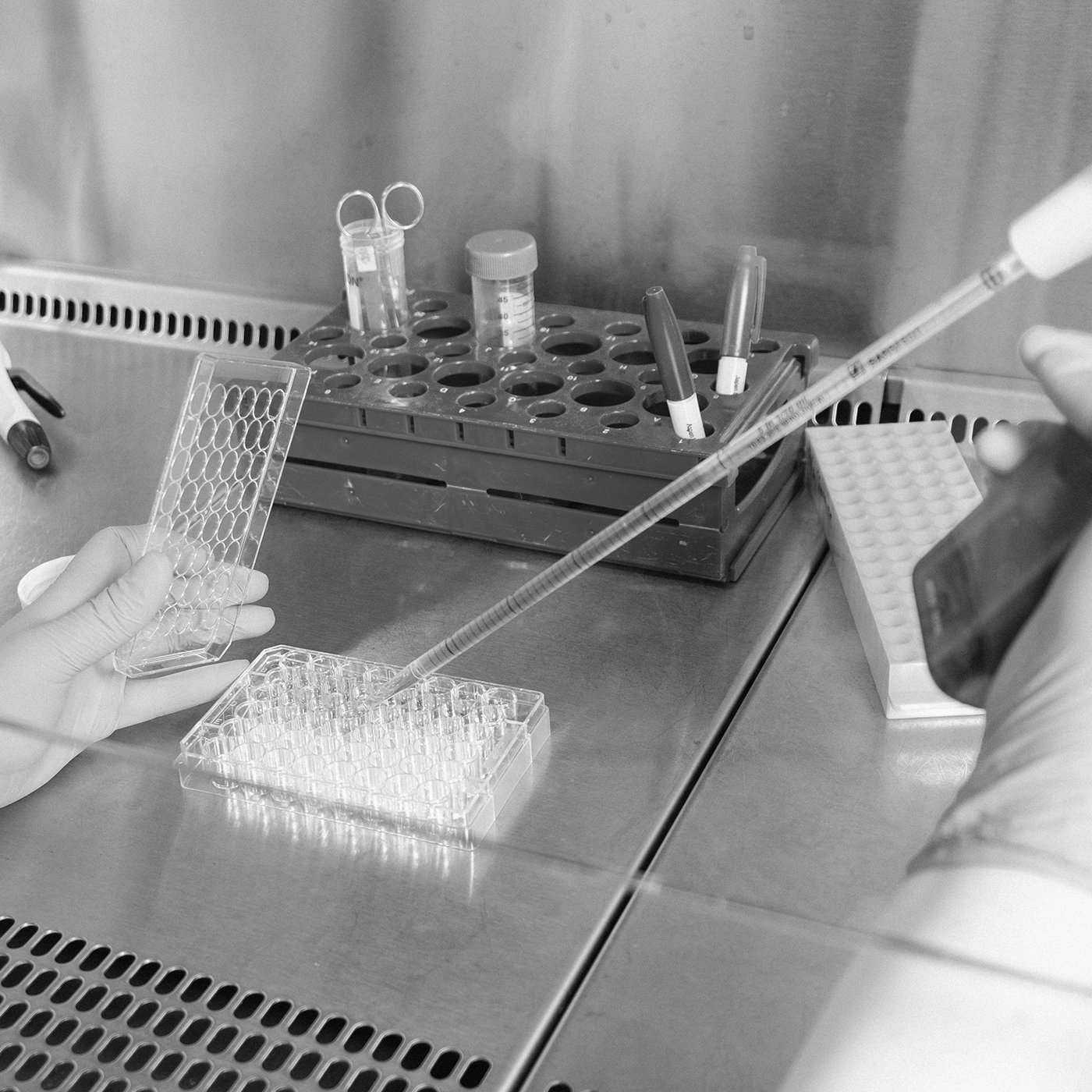  Pipetting at the lab bench