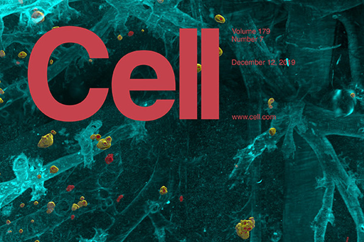 Cell Cover