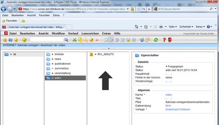 WCMS-Autorensystem Download-Container