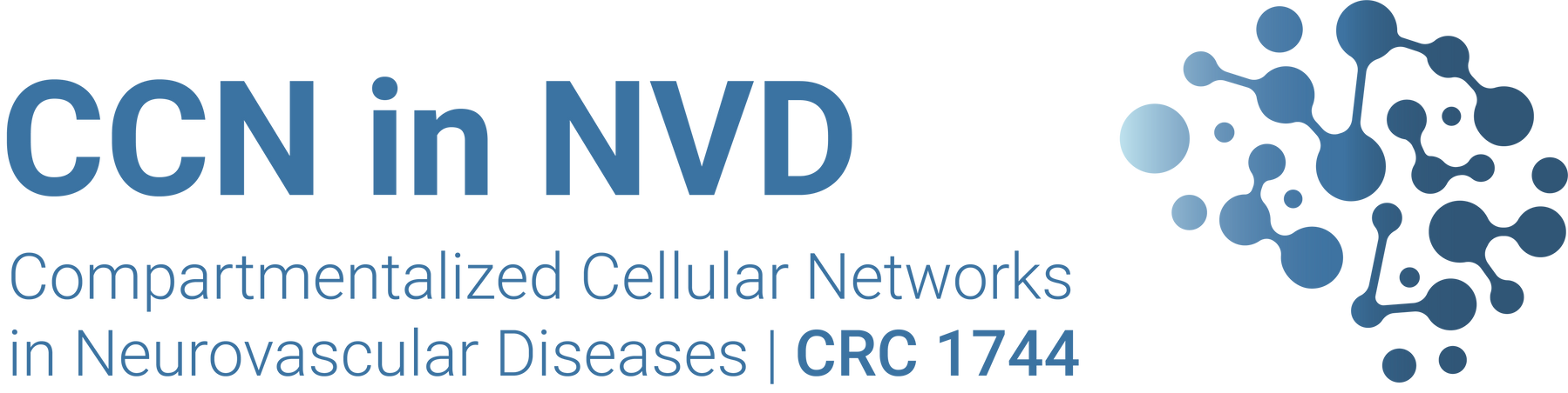 CCN in NVD SFB 1744 CRC 1744