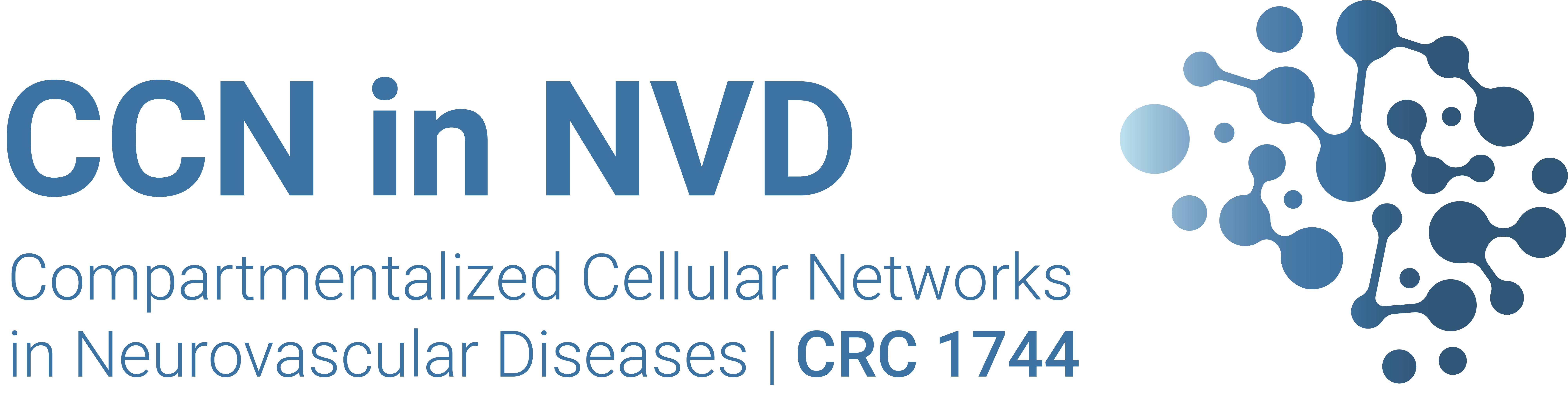 CCN in NVD SFB 1744 CRC 1744