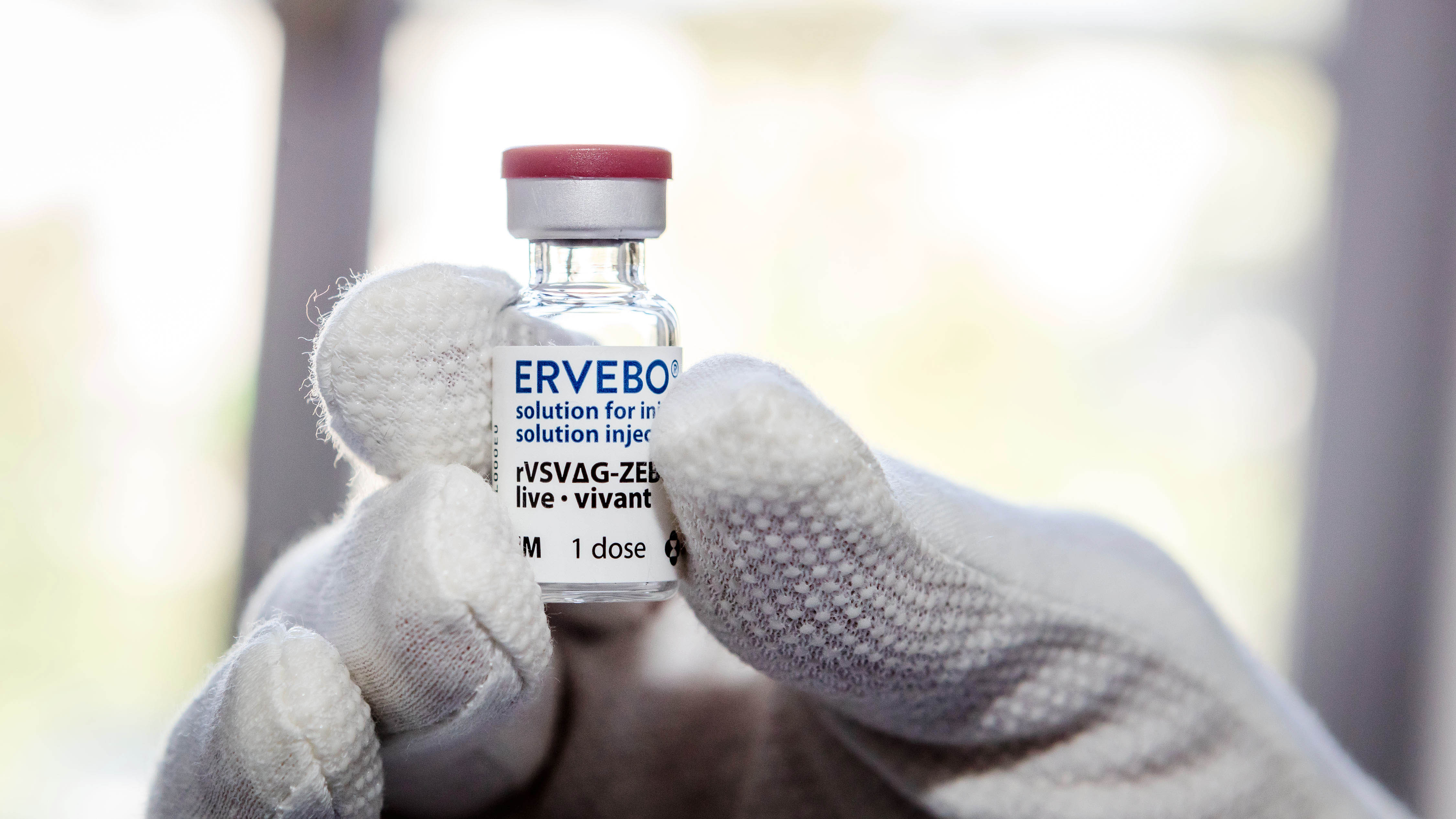 Der rVSVΔG-ZEBOV-GP (Ervebo; Merck Sharp & Dohme) ist ein hochwirksamer Impfstoff gegen das Ebola-Virus.