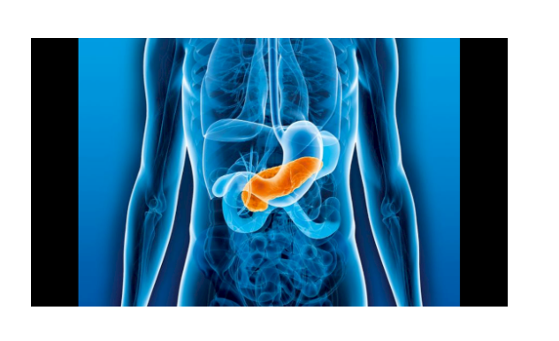 Forschungsallianz gegen Bauchspeicheldrüsenkrebs