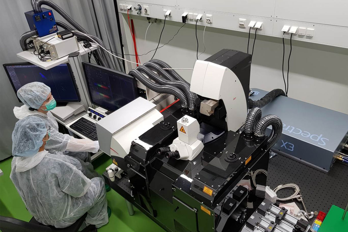 Multi Photon Microscopy