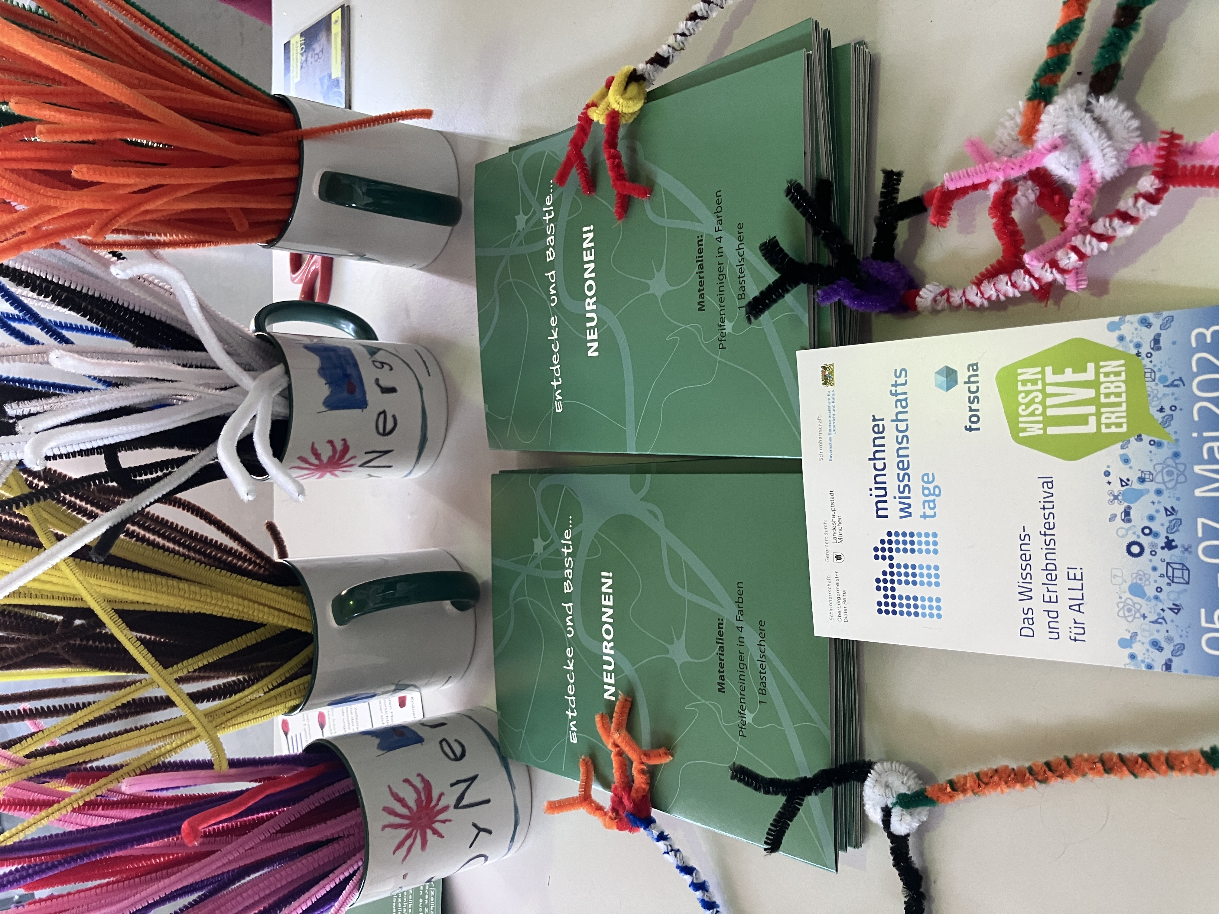  Selection of pipe cleaner and the instruction manual to make neurons out of it