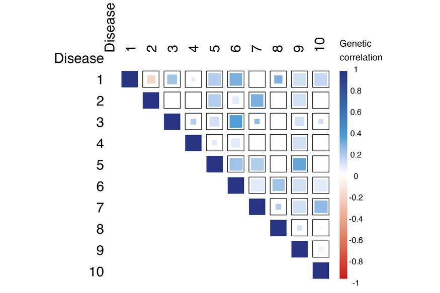 Common genetic basis of common brain disease