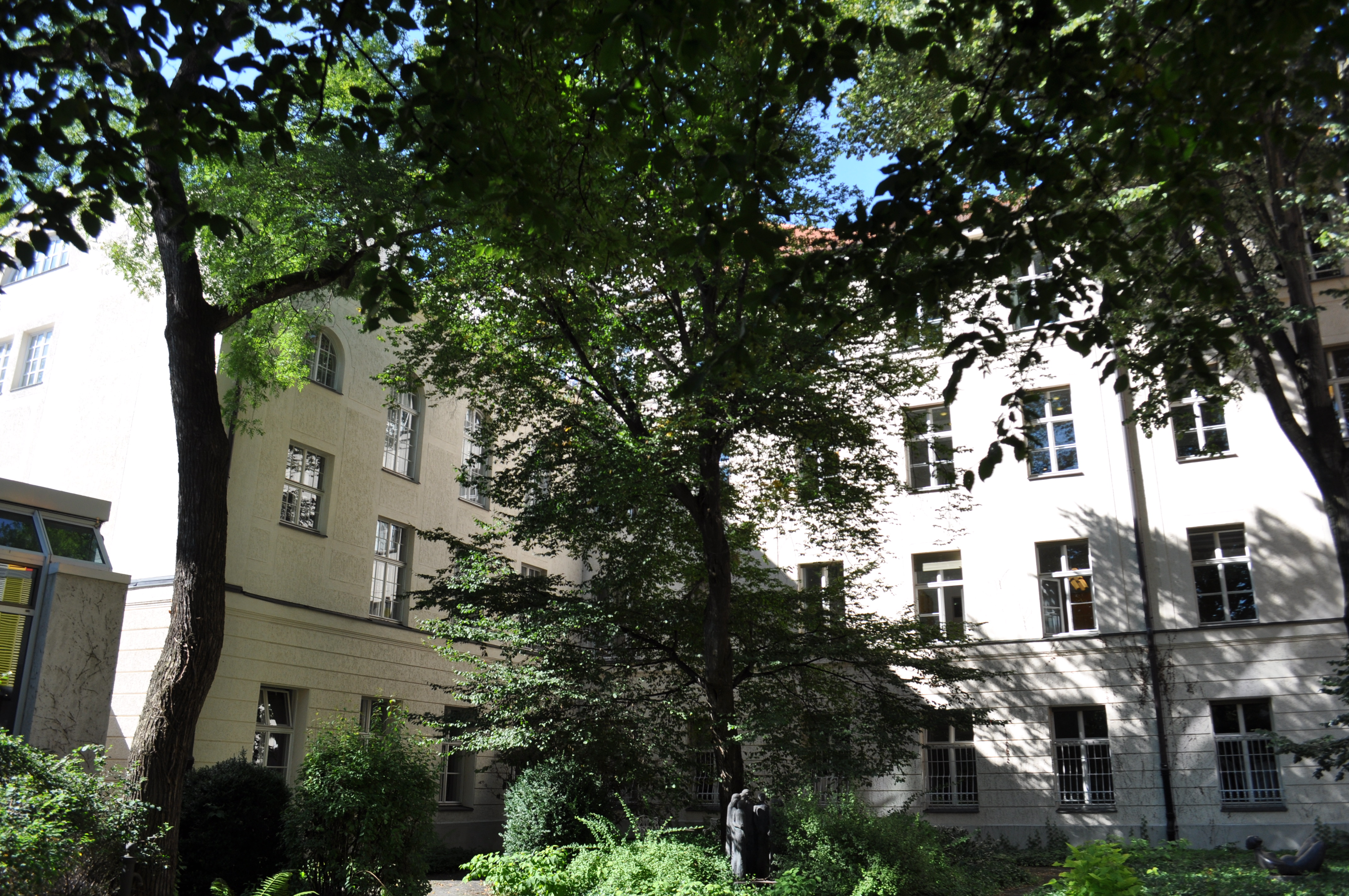 Psychiatrie Garten 
