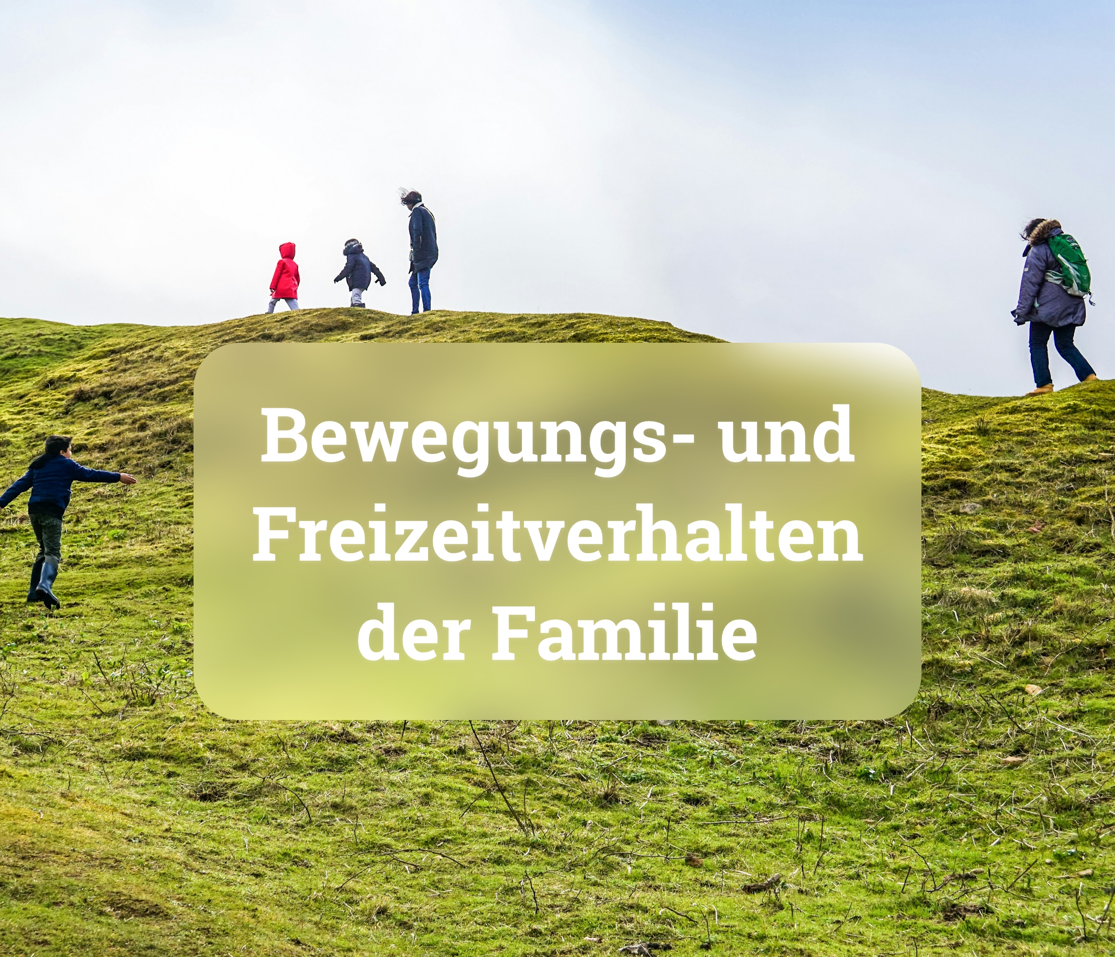 Bewegungs- und Freizeitverhalten der Familie als Einflussfaktor auf das Gewicht