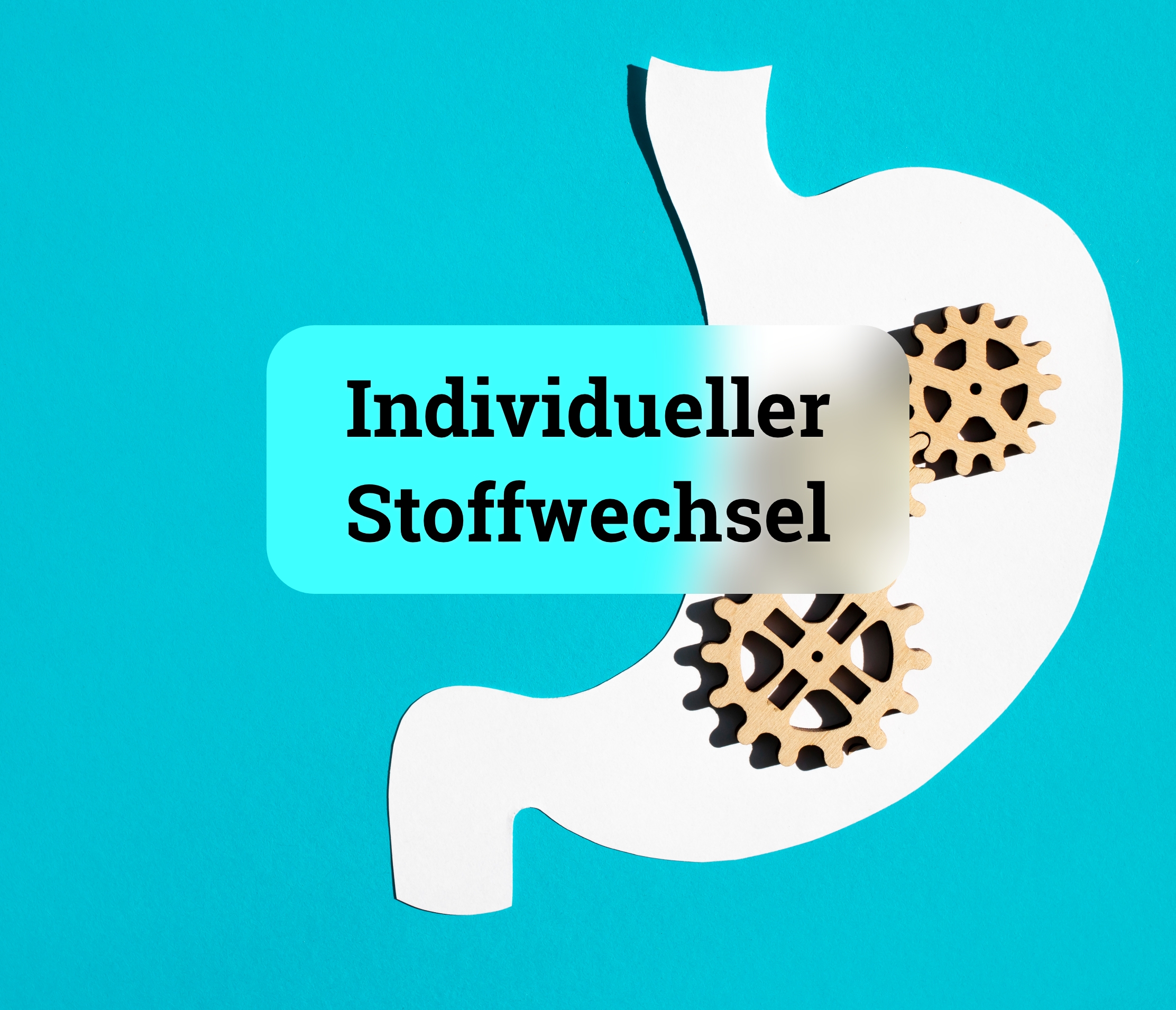 Individueller Stoffwechsel als Einflussfaktor auf das Körpergewicht