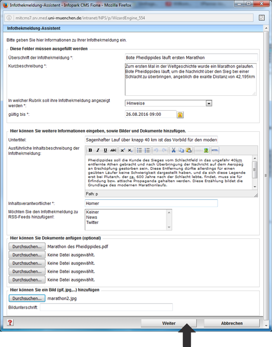 Felder im Eingabeassistent in der Infothek