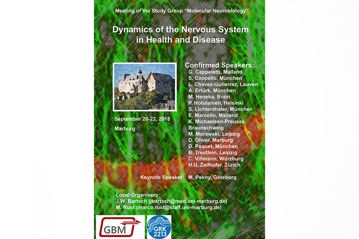 Molecular-Neurobiology