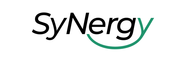 SyNergy - Munich Cluster for Systems Neurology