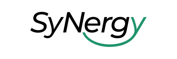 SyNergy - Munich Cluster for Systems Neurology