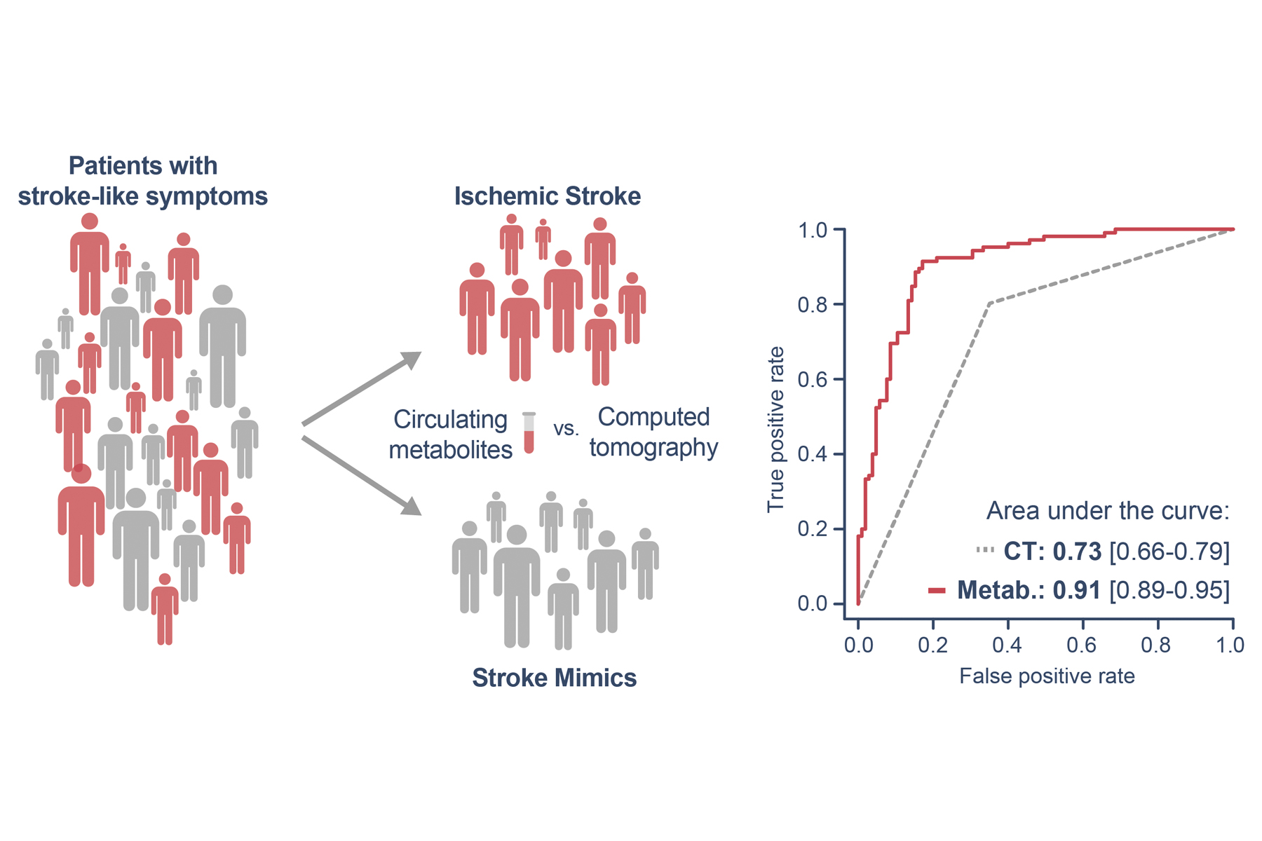 Circulating Metabolites