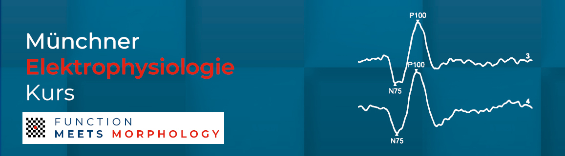 Banner Münchner Elektrophysiologie-Kurs