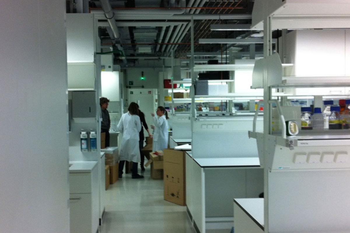 Liesz Lab