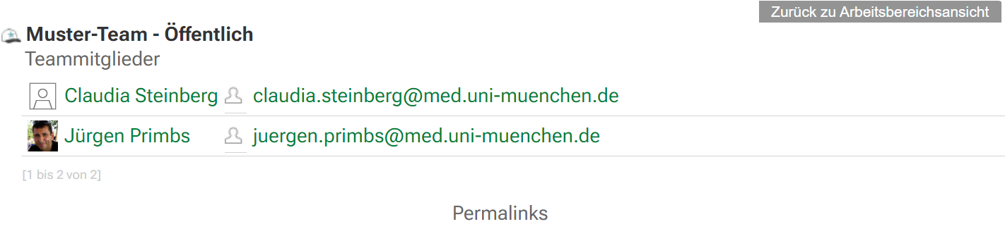 Teammitglieder eines Teams in KUM-Teams anzeigen lassen