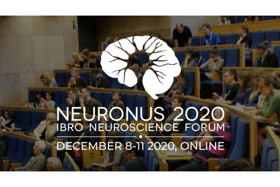 Neuronus